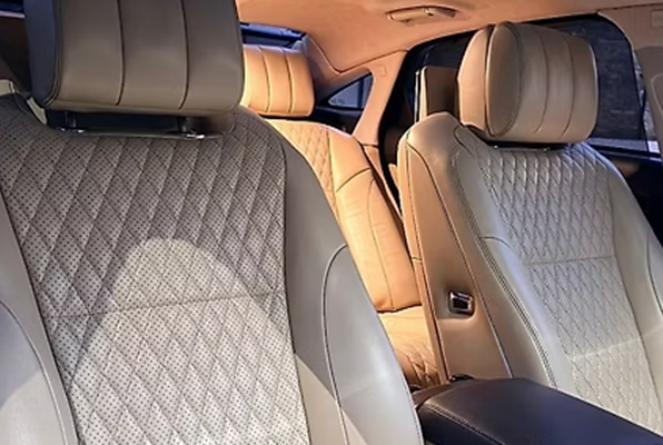 Jaguar_Img_2_596X400