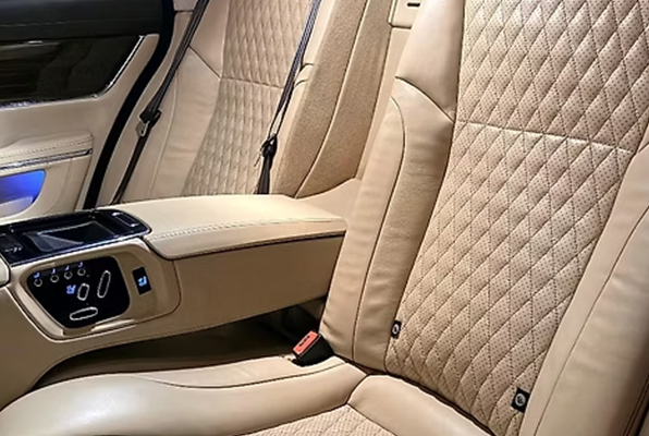 Jaguar_Img_5_596X400